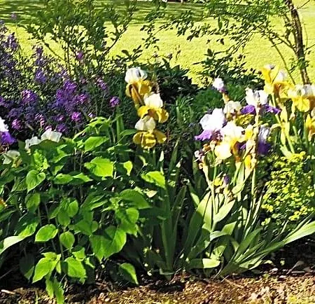 D'hotes Au Jardin De