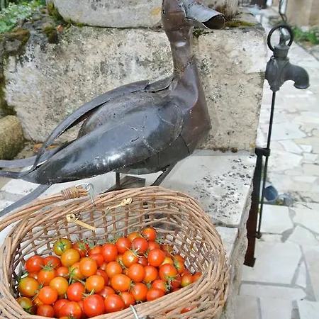Bed & Breakfast D'hotes Au Jardin De La Bachellerie
