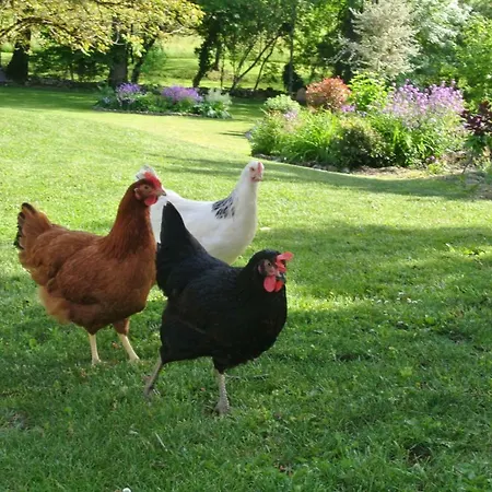 D'hôtes Au Jardin De Couette-café *